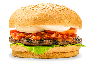 Mexican Salsa Burger